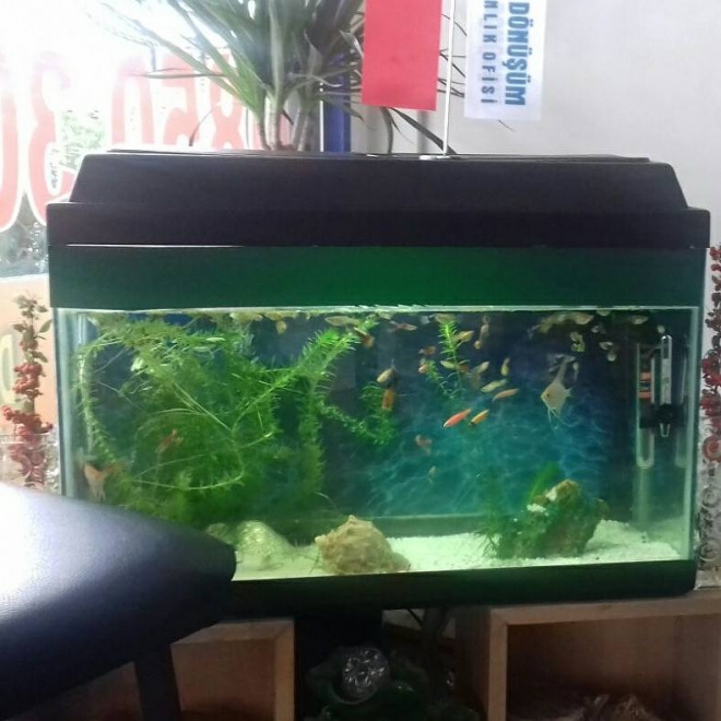 Büyükçekmece Kentsel Danışman-Erol Çelik-3