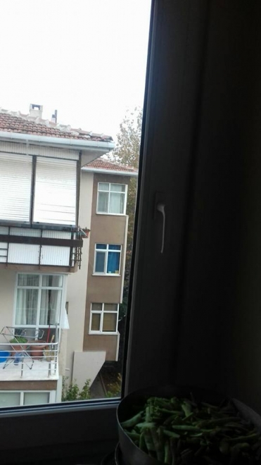 Danışman Erol Çelik - Büyükçekmece-4
